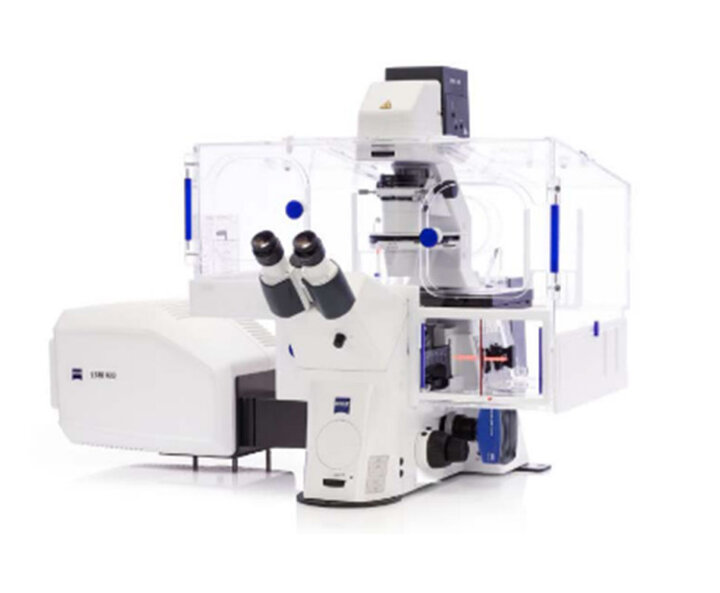 ZEISS LSM 800 with Airyscan
